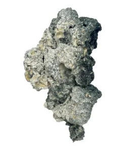 Spezielle Zauberpilze „Half Oz“ (14 Gramm)