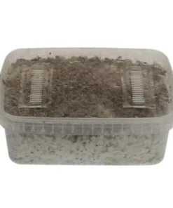 GetMagic B+ Magic Pill XL Wachsset