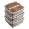 GetMagic® 3XL Zauberpilz-Zuchtset