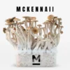 McKennaii Zauberpilz-Zuchtset von Mondo®